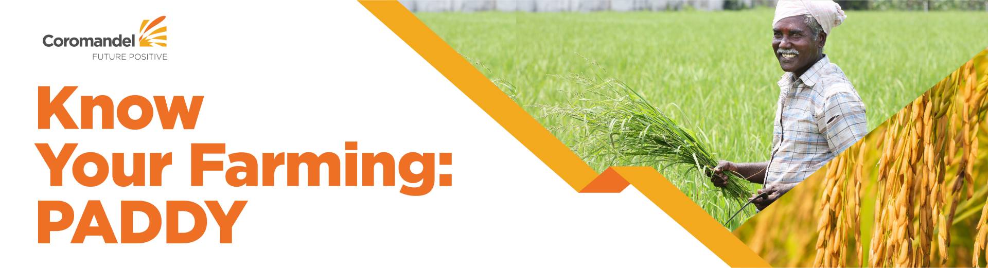 Know Your Farming – Paddy