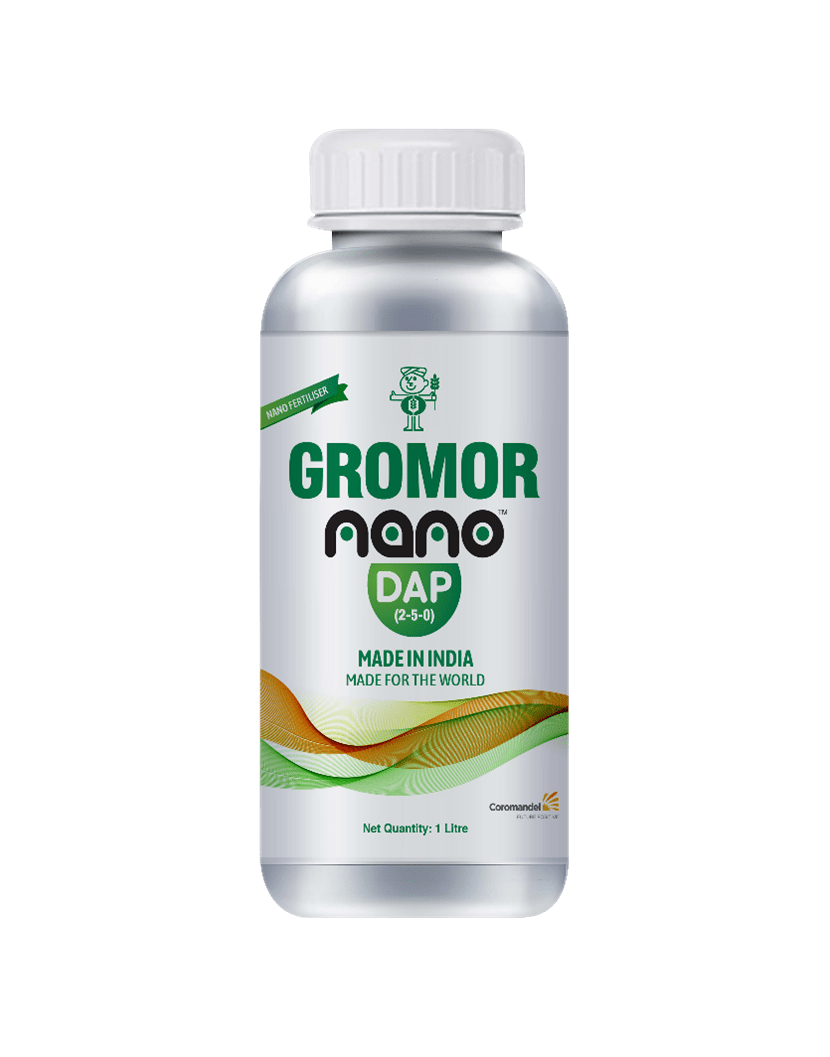 nano-dap-coromandel