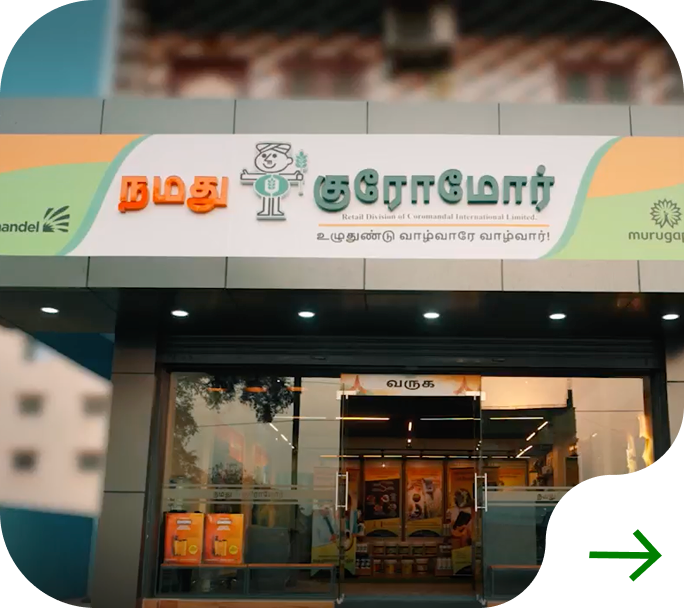 मागील प्रतिमा