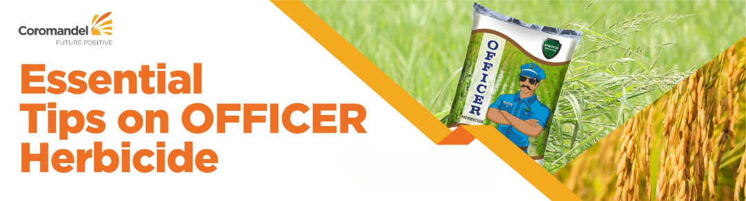 ESSENTIAL TIPS ON OFFICER HERBICIDE<br/>